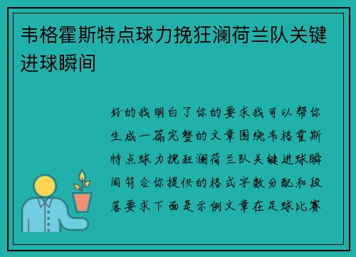 韦格霍斯特点球力挽狂澜荷兰队关键进球瞬间